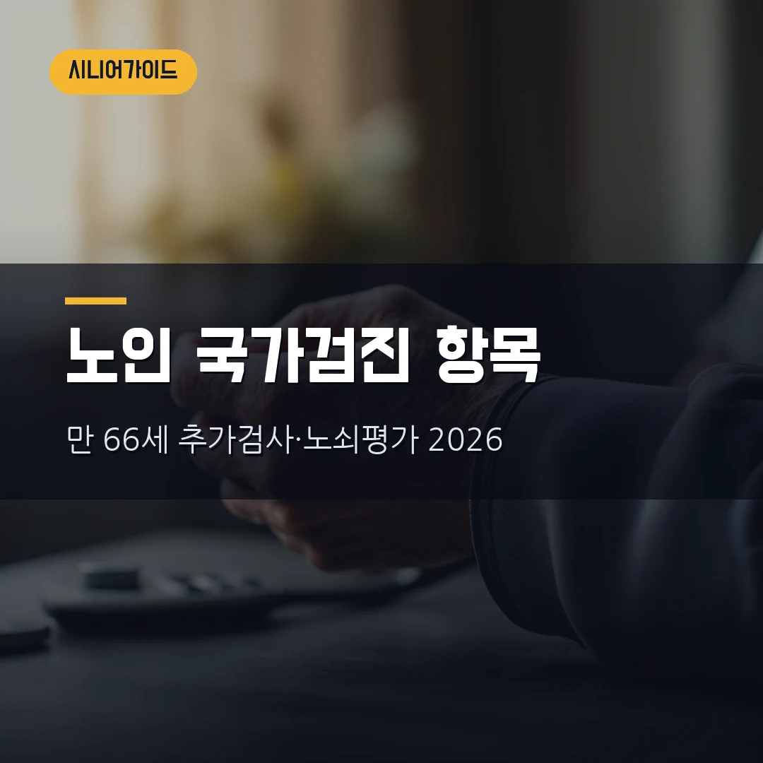 노인 국가건강검진 항목 2026 — 만 66세 생애전환기·인지기능·노쇠평가까지 부모님 검진 전 확인