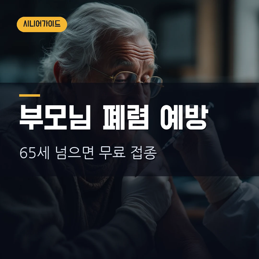 폐렴구균 예방접종 무료 2026 — 만 65세 이상 어디서 맞나, 23가·13가 차이·접종순서·비용 총정리